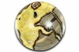 Eye-Eatching Polished Septarian Dish - Madagascar #371705-1